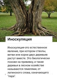 Продолжаем барражировать соцсети