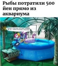 Рыбы потратили 500 йен прямо из аквариума