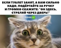 17 туалетных комнат, в которых легко забыть зачем пришёл