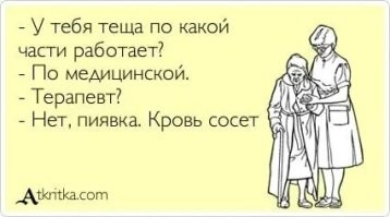 Парадоксально престижная профессия: история о том, как европейцы чуть всех пиявок не извели