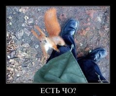 Фотоподборка