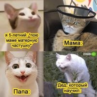 А ведь это "жиза"! У меня один-в-один так было, дед просто пару-тройку рюмашек втихаря принял, ну и....