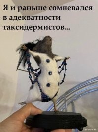 Упоротые антикварные вещи из прошлого, назначение которых угадывается не сразу