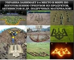 Свинорылые ушли далеко вперёд.Из какого только говна трезуб не выкладывали