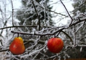 20 фотографий, которые вас удивят