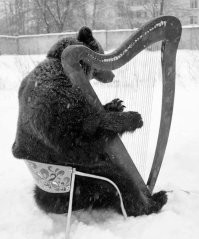 Упоротые антикварные вещи из прошлого, назначение которых угадывается не сразу