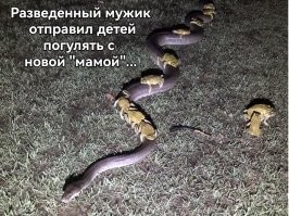 Не знаю, но мне эта картинка о другом намекает...
 Чужой папа может быть хорошим, а "мачеха"? ...