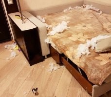 Когда хулиган – это призвание