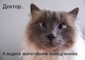 Когда хулиган – это призвание