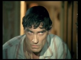 Скрины из соцсетей