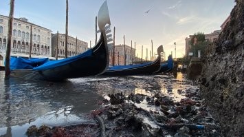 есть версия поинтересней  когда плаваешь  грязи лучше быть с ней одного цвета