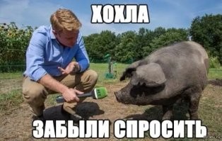 Ну так попугай птица гордая! Не будет хрюкать и визжать как свинья)