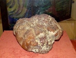 Я думаю что самый дерзкий экспонат, который заодно и символизирует нашу область это самый большой самородок янтаря в России. Сердце Великана весит больше 4 килограмм. Но есть у нас и другие дерзкие экспонаты. Например скелет кашалота в Музее мирового океана.