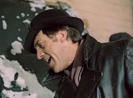 Горбатый кит проплыл мимо дайверов