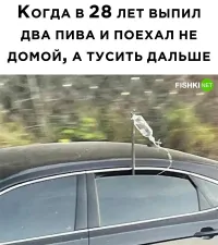 В капельнице водуа надеюсь? Иначе ему не 28, а 58 лет