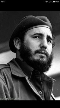 Люди показывают своих питомцев и то, в честь кого или чего они их назвали