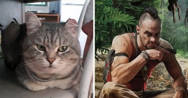 Ваас Монтенегро
Персонаж вселенной Far Cry.