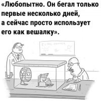 Фотоприколы и прикольные картинки