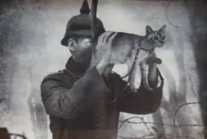 Выходит кошку можно использовать, как простейший ПНВ