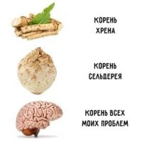 Фотоприколы и прикольные картинки