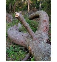 Немного нуара в ленту