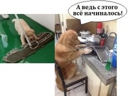 Просто гифки, всякие и разные