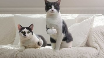 ФотоВсячина