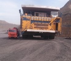 15 гигантских предметов и существ, которые поражают своими внушительными размерами