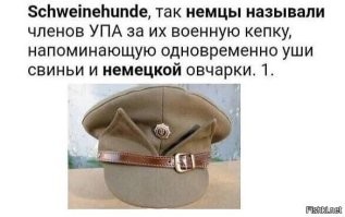 На свинособачьем.