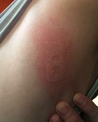 В декабре 2019-го на западе Сиднея было 47.5 градусов.