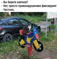 - только рыбами!