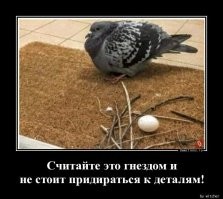 Женщина заметила в своём цветочном горшке несколько яиц