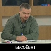 Кошки играют или дерутся?: учёные определили тонкую грань