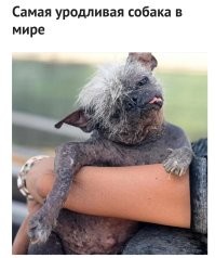 Был конкурс? От нашей страны кто ездил?