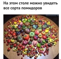 А ведь и не проверишь...