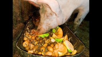 Ну допустим. А жрать-то как? Разогреваем, всё перемешиваем, и получаем...