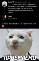 Да, да...
Поэтому половина таджикистона в Москве.
Пострадать приехали, от благополучия устали....