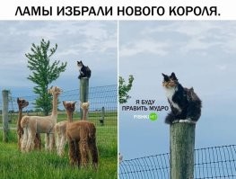 Далай-лама