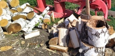 продвинутые пользуют дровокол, фискарь - дорогая игрушка, не более. колун - оптимальное средство для колки дров.