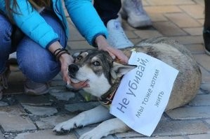 Вот гад натуральный живодёр. По нему психушка плачет.