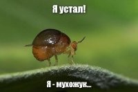 На самом деле они этого не говорили