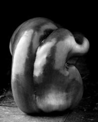 20 изображений, которые совсем не такие, какими кажутся на первый взгляд