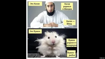 В Бельгии поехавший мясник с ножом напал на людей на вокзале