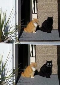 20 изображений, которые совсем не такие, какими кажутся на первый взгляд