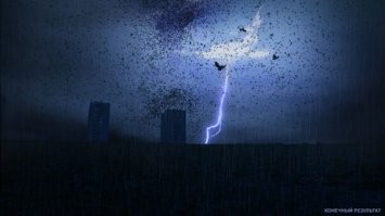 Дурное знамение? Тучи ворон кружат над Киевом