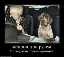 Авария дня. Пожилая женщина на «Рено» сбила пять человек в Петербурге