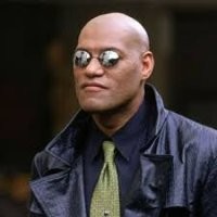 Непонятно на что намекаете. Были бы уши на жопе, носили бы другую модель.