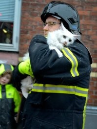 30 кадров со спасёнными животными, которые дают веру в добро