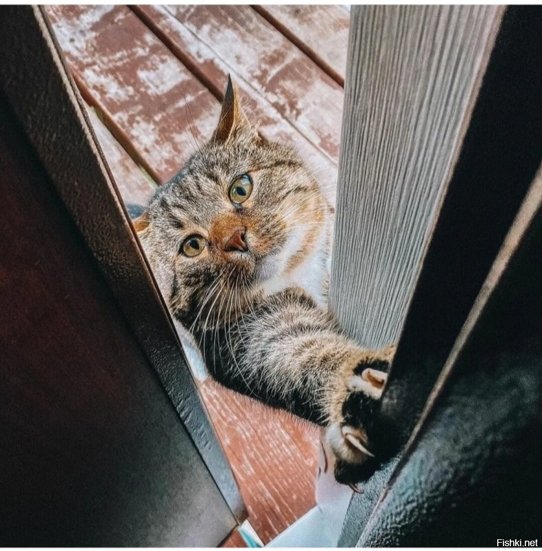 Доброе утро