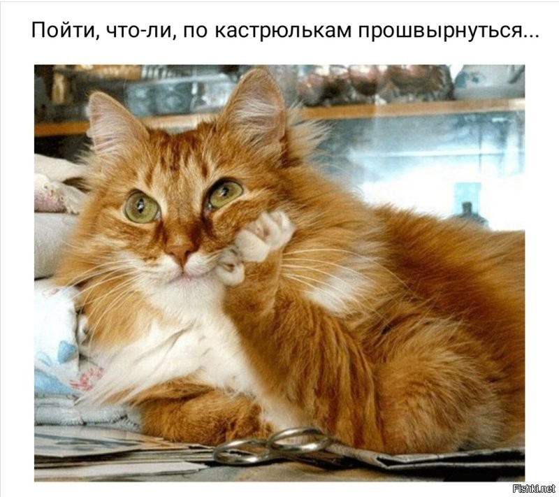 Доброе утро